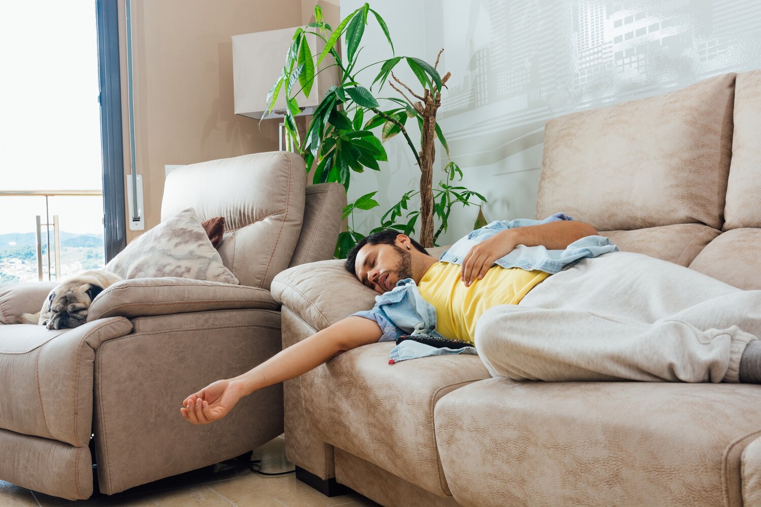 Wie man die Luftqualität in einer Wohnung mit vielen Möbeln verbessert?